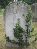 image of grave number 366006